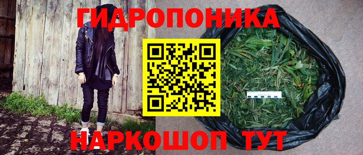 Канабис White Widow  Бошки Шишки VHQ  Вход с VPN  Кунгур  Бошки Шишки THC 21%  Бошки Шишки VHQ 